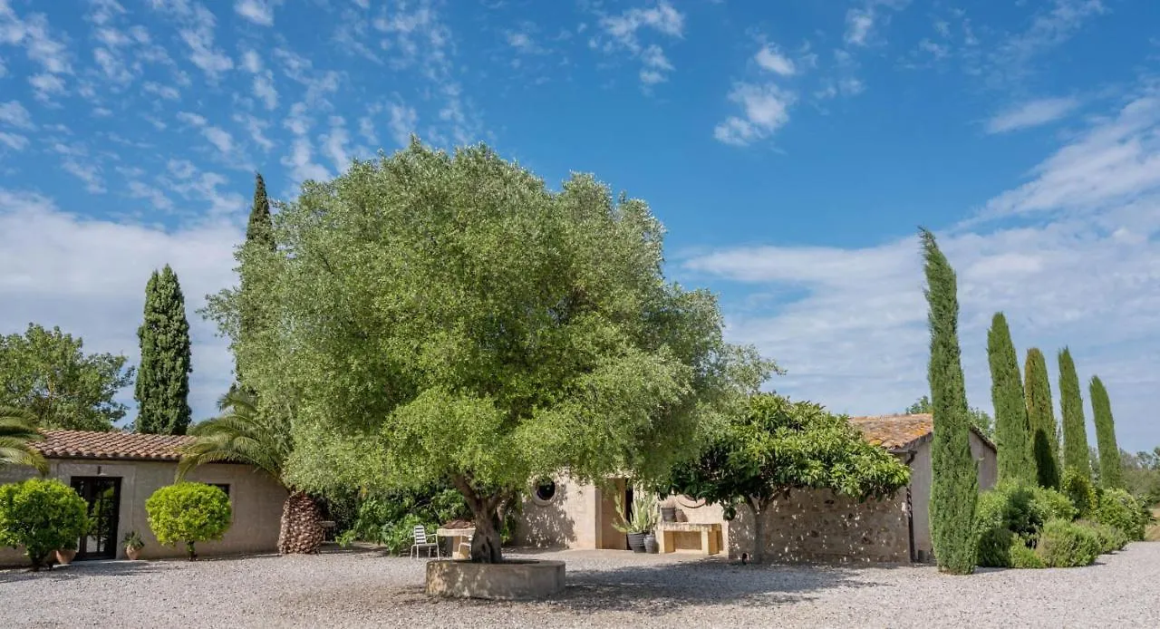 Mas Pla De Calabuig Villa